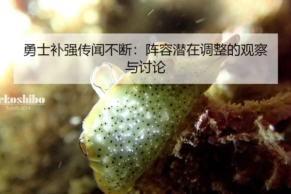 勇士补强传闻不断：阵容潜在调整的观察与讨论 - xingkong
